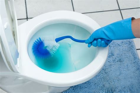 Removing Toilet Bowl Stains Thriftyfun