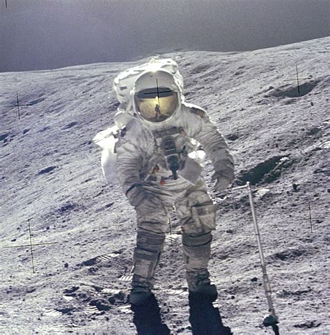 На Луне впервые вырастили растение - Gamebomb.ru