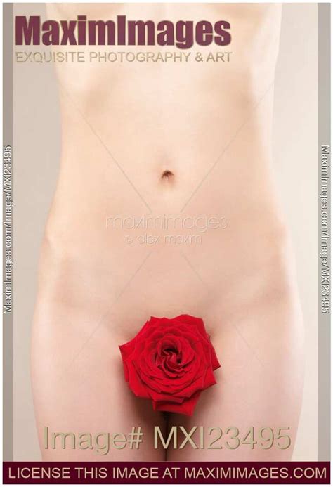Photo Of Naked Woman With A Red Rose Stock Image MXI23495