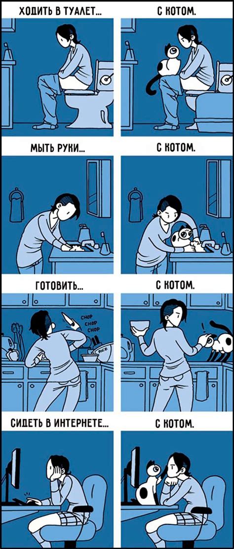 16 комиксов, которые поймут все владельцы кошек | Cat lady humor, Cat ...
