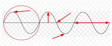 Transverse Wave Labelled Diagram