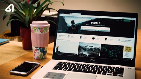 kenali website  fungsinya webbizid