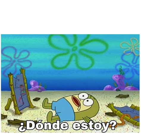 ¿donde Estoy Wiki •meme• Amino