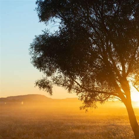 The Nature Conservancy Australia