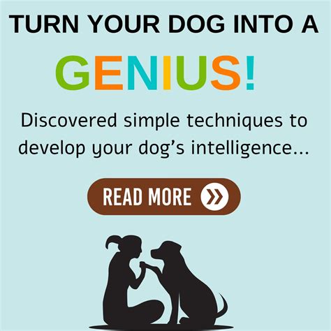 Dog breeds - train my dog easily