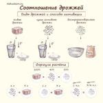 Соотношение дрожжей, их виды и способы активации