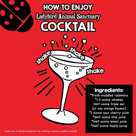 Ladybird Animal Sanctuary | Ladybird Animal Sanctuary - Help Build The