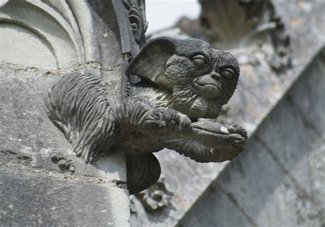 Gothic Gargoyles On Buildings