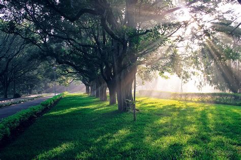 IISc Bangalore 120 photos on Behance