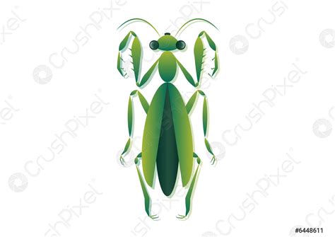 Praying Mantis Vector Art Green Grasshopper Clipart Isolated On White