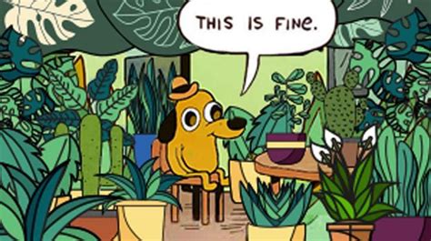 this is fine dog meme origin - Rolf Haven