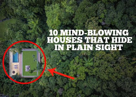 AnonImageboard: The Secret World Hiding in Plain Sight - qnbp1a8