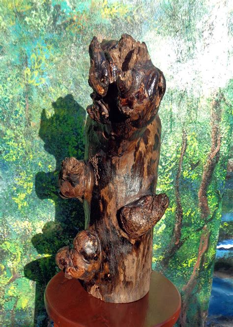 Naturalism - the Eighth Sense: Nature's Trophy: Cryptic Image of a