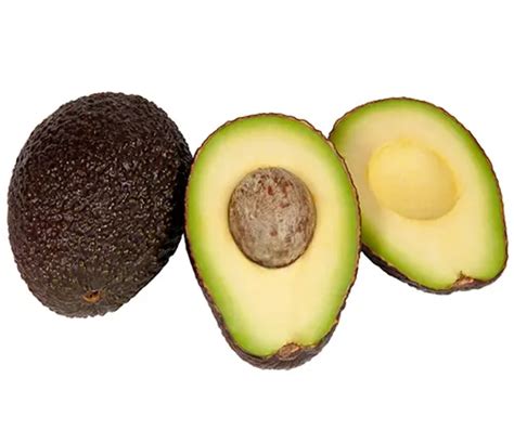 20 Avocado Types A Guide To Type A And B Varieties