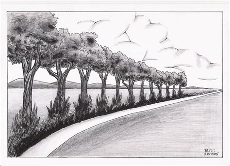 Drika Perspectiva