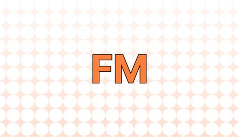 FM 뜻(현장 지침서, 주파수 변조), 예시, 관련 표현(AM)
