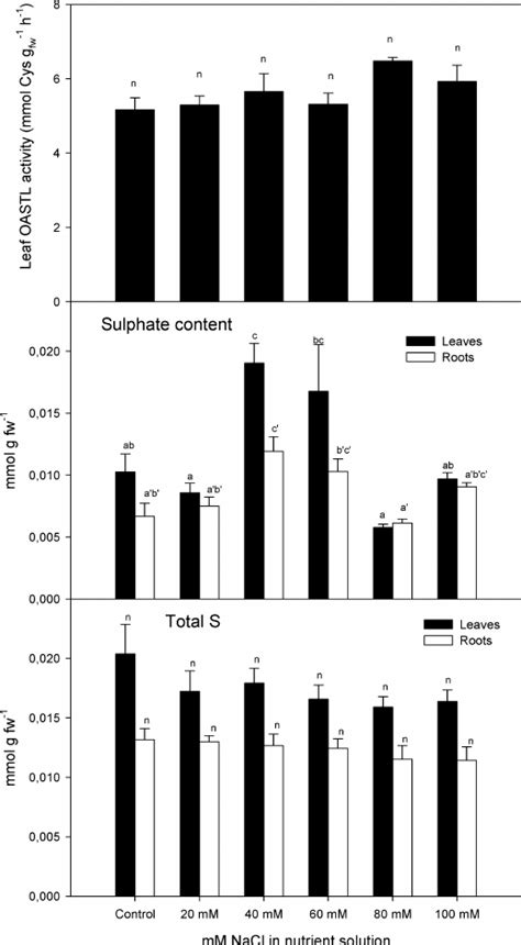 Effect Of NaCl Salt Applied To Nutrient Solution On O Acetylserine