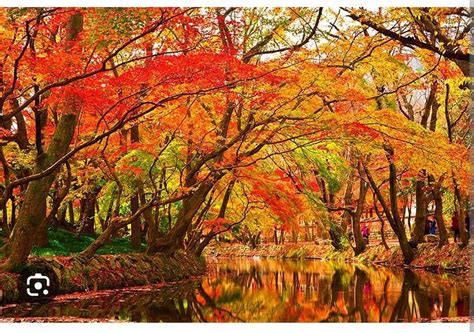 Looking for trails that go through fall colored foliage like these ...