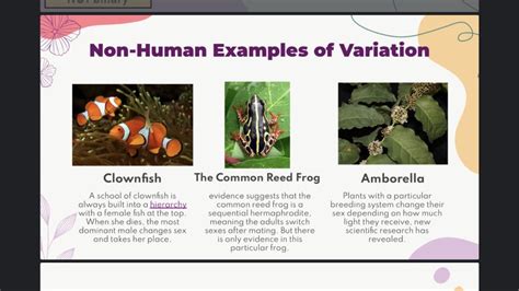 High School Biology Teacher Says Biological Sex Can Be Easily Changed Tells Students Not To Use