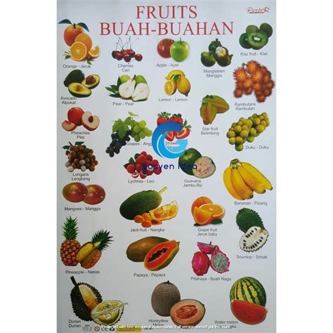 Detail Belajar Buah Buahan Koleksi Nomer 11