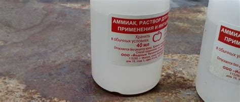 Как подкормить чеснок весной нашатырным спиртом, как использовать ...