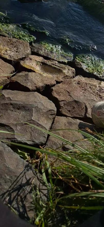 The Beach Gay Amateur Amateur Porn Feat Timitimy Xhamster