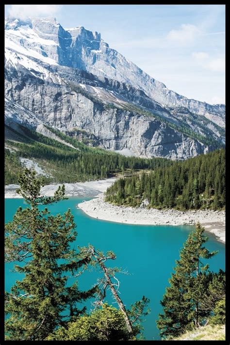 Современный постер лес и туман SILENCE купить в интернет-магазине