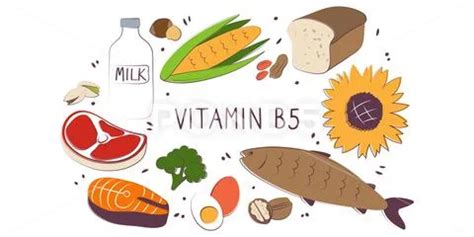 Vitamin B5 Pantothenic Acid Groups Of Healthy Products Containing