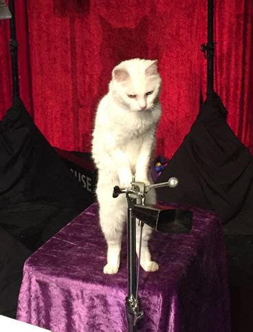 is my 401k part of my net worth