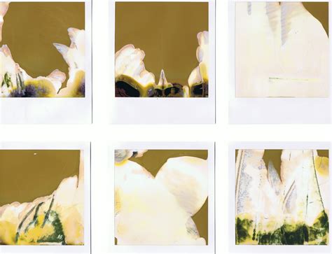 house   whaling man polaroid paintings