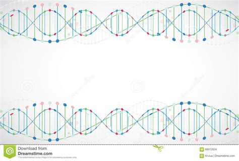 Wetenschapsmalplaatje Behang Of Banner Met Een Dna Molecules Vector