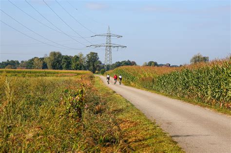 Nature Chemin La Campagne Photo Gratuite Sur Pixabay Pixabay