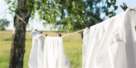 Why You Should Hang Dry And How To Do It Properly, dry clothes ...