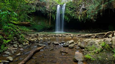 The Road to Hana Waterfalls: The Best on Maui