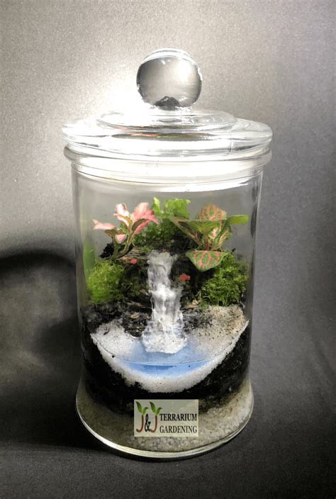 Waterfall Terrarium A | J&J Terrarium Gardening | Singapore | Terrarium ...