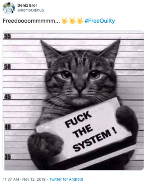 Fuck The System Quilty The Cat Know Your Meme