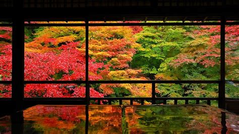 Rurikoin Temple 「瑠璃光院」 Kyoto Nipponderful Com
