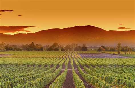 Napa Valley Weekend Travel Guide - What to Do in Napa Valley