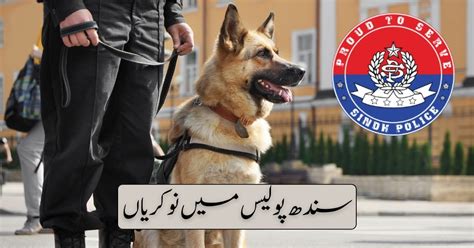 Sindh Police Jobs 2024 Say Job City