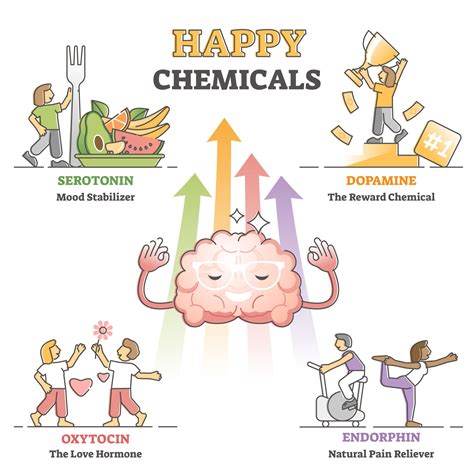 Serotonin Vs Dopamine What Are The Differences