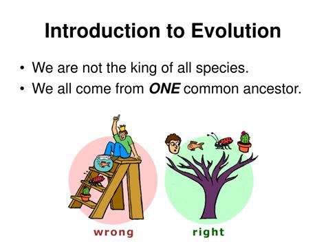 Ppt Introduction To Evolution Powerpoint Presentation Free Download