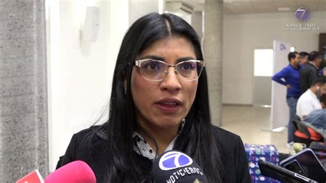 Integra Pan Denuncias Por Actos Anticipados De Campa A Canal Slp