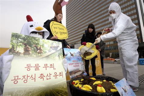 사진 대량축산 하지 맙시다 중앙일보