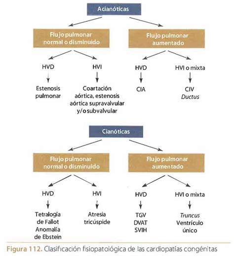 Clasificación De Cardiopatías Congénitas
