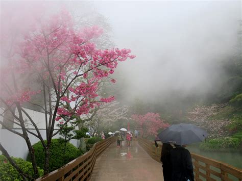 2115 Best Hot Spring Images On Pholder Earth Porn Nature Is Fucking Lit And Cozy Places