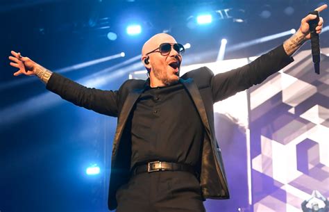 Pitbull Net Worth 2024 - How Much is He Worth? - FotoLog