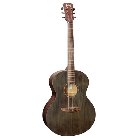 Faith FKNE Naked Neptune Reverb