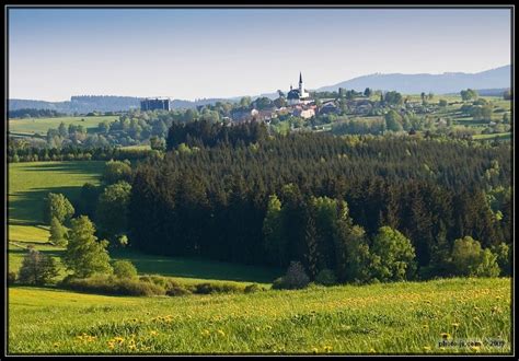 Světlík - Živéobce.cz