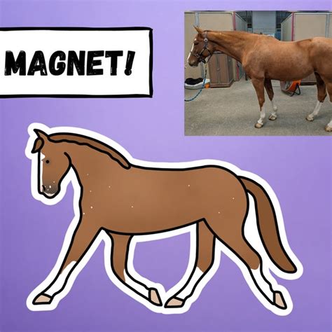 custom horse car magnet etsy