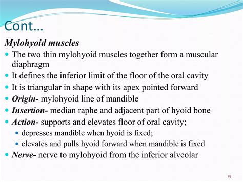 anatomy  oral cavity pptx